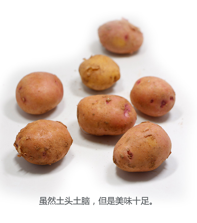 土豆片03.jpg