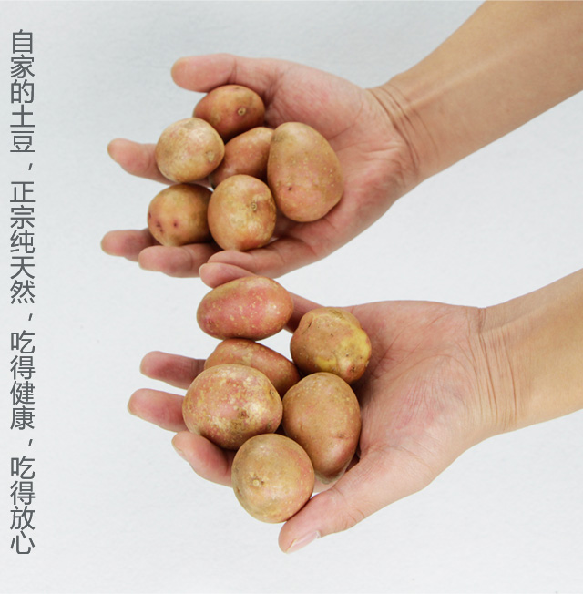 土豆片04.jpg