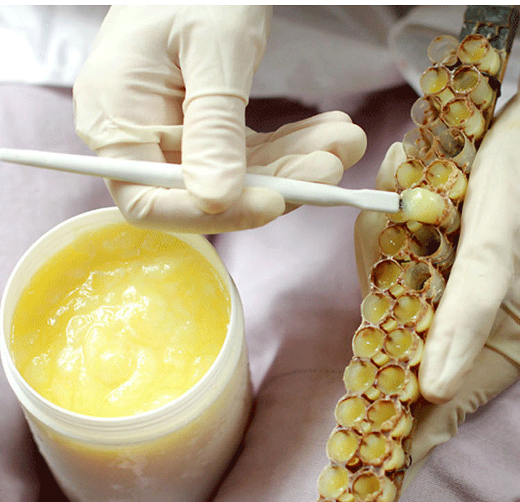 多胎!蜂皇浆"采菊东篱下"-第1张图片-吉泽网